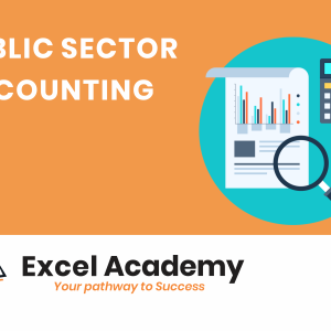 Public Sector Accounting