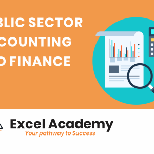 Public Sector Accounting and Finance