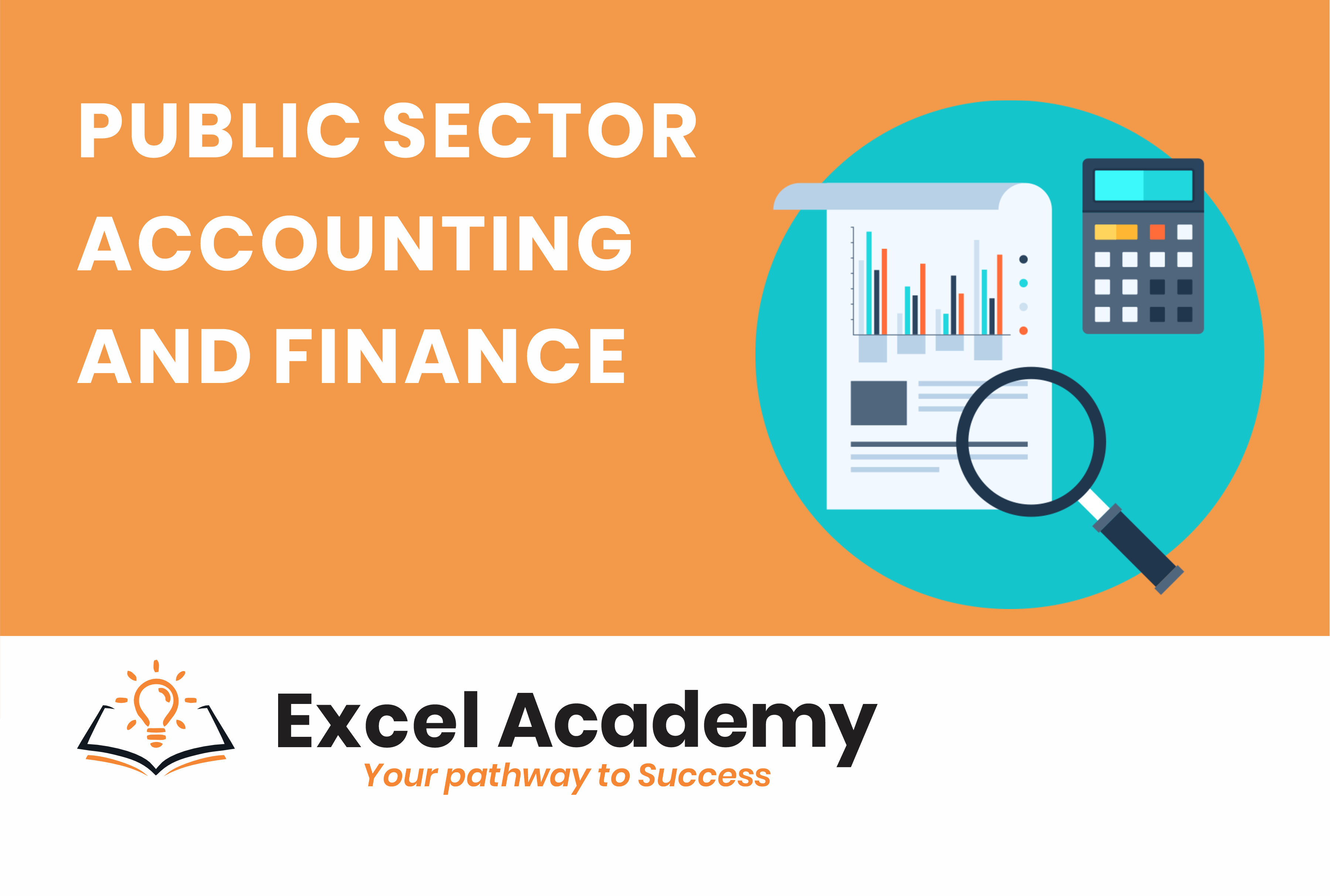 Public Sector Accounting and Finance
